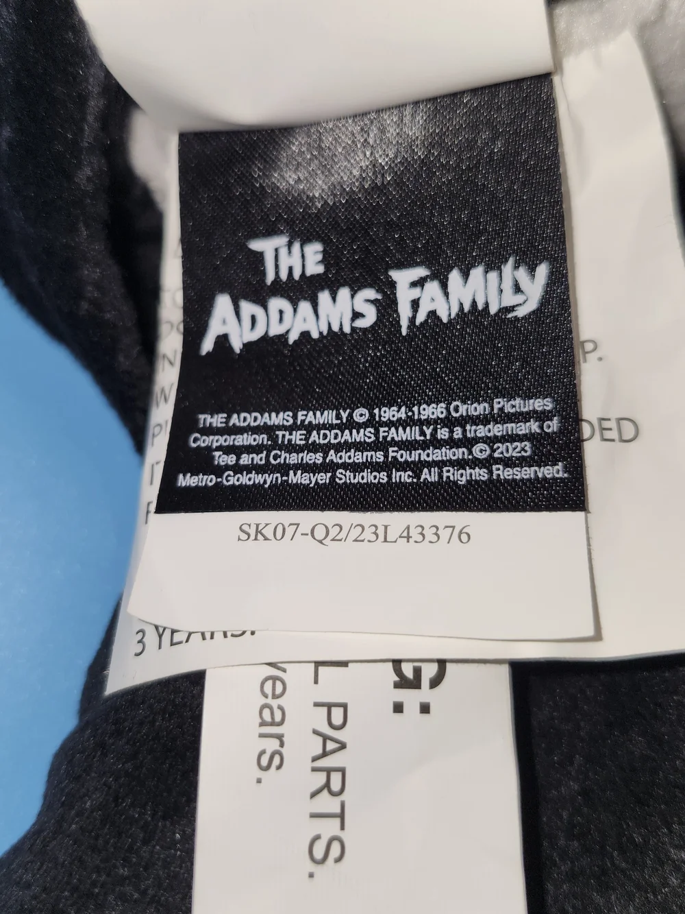 Spirit Halloween The Addams Family Wednesday Addams 18